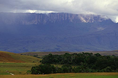  Assunto: Turistas iniciando caminhada para subir o Monte Roraima, território do Parque Nacional Canaima / Local: Santa Helena de Uairén - Venezuela / Date: Março de 2009 