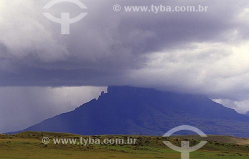  Assunto: Monte Roraima, território do Parque Nacional Canaima / Local: Santa Helena de Uairén - Venezuela / Data: Março de 2009 