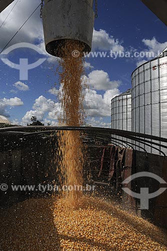  Assunto: Silos para secagem e armazenamento de graos de milho - Juparana Agricola / Local: Paragominas - Pará - Brasil / Data: 30-03-2009 