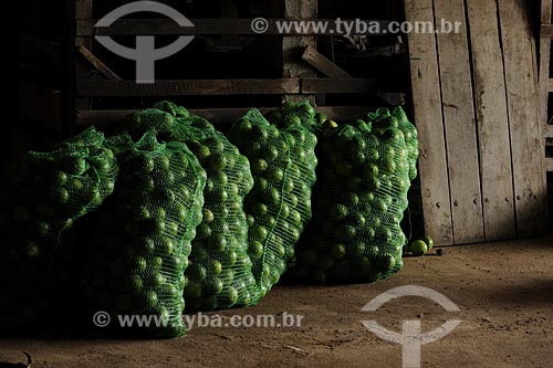  Assunto:  Limão em saco destinado ao comercio / Local: Tomé-Açu - Pará - Brasil / Data: 01-04-2009 