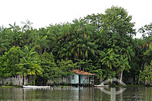  Assunto: Tipica casa ribeirinha no Rio Acara com acaizal em volta / Local: Acará - Pará - Brasil / Data: 02-04-2009 