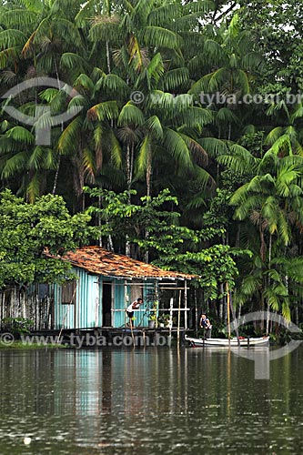  Assunto: Tipica casa ribeirinha no Rio Acara com acaizal em volta / Local: Acará - Pará - Brasil / Data: 02-04-2009 