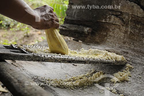  Assunto: Mandioca sendo ralada manualmente para producao de farinha / Local: Territorio quilombola de Santa Maria do Traquateua - Moju - Pará - Brasil / Data: 02-04-2009 