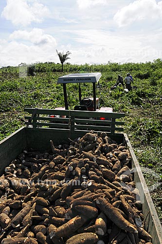  Assunto: PAFAM - Programa de Agricultura Familiar - Caminhao para transporte da colheita de mandioca / Local: Comunidade de Guajarauna - Barcarena - Pará  - Brasil / Data: 03-04-2009 