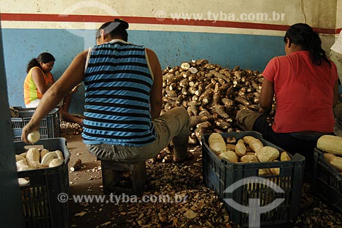  Assunto: PAFAM - Programa de Agricultura Familiar - Mulheres descascando mandioca manualmente na Fabrica de Farinha 