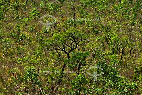  Assunto: Vegetação de cerrado no Parque das Emas / Local: Parque Nacional das Emas - Mineiros - Goiás (GO) / Data: Outubro de 2008 