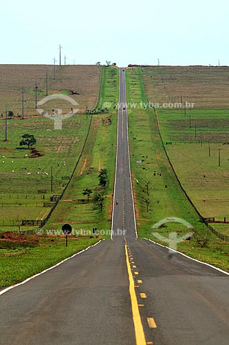  Assunto: Rodovia BR-060 / Local: Camapuã - Mato Grosso do Sul (MS) / Data: Outubro de 2008 