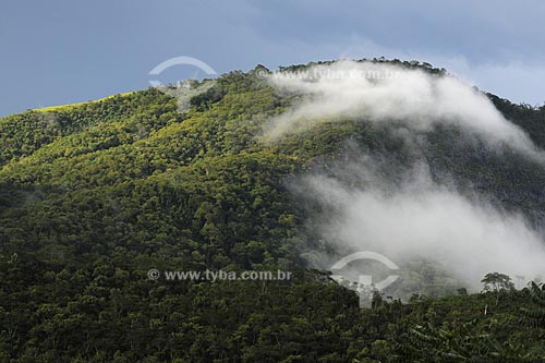  Assunto: Montanha com nuvem ao amanhecer  / Local:  Fagundes - Secretário - Petrópolis - RJ  / Data: 21/02/2009 