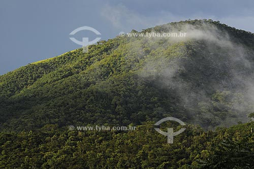  Assunto: Montanha com nuvem ao amanhecer  / Local:  Fagundes - Secretário - Petrópolis - RJ  / Data: 21/02/2009 