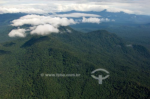  Assunto: Vista aérea do Parque Nacional da Serra da Mocidade - Floresta amazônica de terra-firme  / Local:  Sudoeste da cidade de Caracaraí - Roraima - Brasil  / Data: Janeiro de 2006 