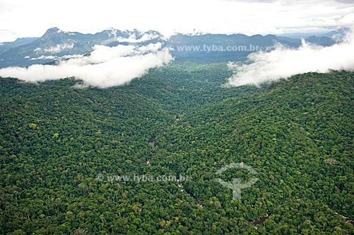  Assunto: Vista aérea de floresta amazônica de terra firme no Parque Nacional da Serra da Mocidade  / Local:  Sudoeste de Roraima - Brasil  / Data: Janeiro de 2006 