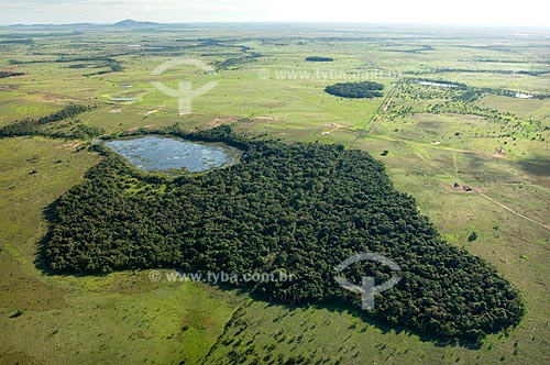  Assunto: Lagoa no Lavrado de Roraima  / Local:  Norte de Boa Vista - Roraima - Brasil  / Data: Janeiro de 2006 