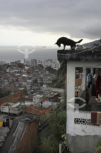  Assunto: Silhueta de cachorro sobre telhado de casa no Morro Pavão Pavãozinho com prédios do bairro de Ipanema ao fundo / Local: Rio de Janeiro / Data: outubro 2009 