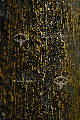  Assunto: Textura das paredes do Hotel Paineiras (Parque Nacional da Tijuca) / Local: Rio de Janeiro - RJ / Data: Agosto de 2009 