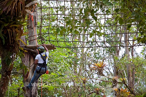  Assunto: Homem sobre árvore uniformizado com equipamento de segurança e amarrado em cordas para prática de arvorismo  / Local:  Paraty - Costa Verde - Rio de Janeiro  / Data: Janeiro 2010 