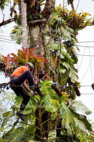 Assunto: Homem sobre árvore uniformizado com equipamento de segurança e amarrado em cordas para prática de arvorismo  / Local:  Paraty - Costa Verde - Rio de Janeiro  / Data: Janeiro 2010 