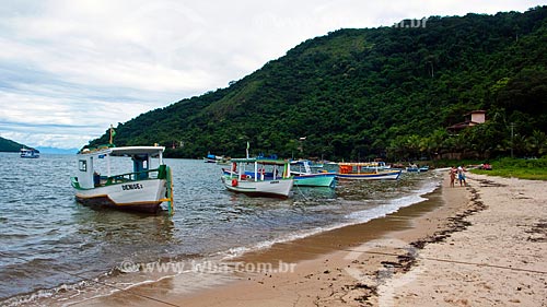  Assunto: Barcos de pesca na praia de Paraty-Mirim  / Local:  Parque Ecológico de Paraty-Mirim - Costa Verde - Mata Atlântica - Rio de Janeiro  / Data: Janeiro de 2010 