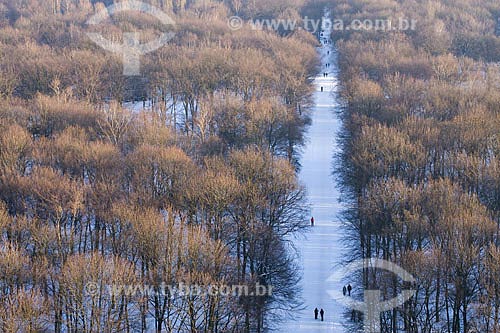  Assunto: Tiergarten visto do alto da Coluna da Vitória (Siegessäule)  / Local:  Berlim - Alemanha  / Data: 11/01/2009 