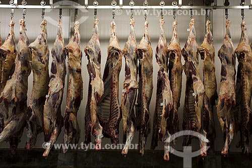 Assunto: Frigorífico com carnes para exportação  / Local:  Mato Grosso (MT) - Brasil  / Data: Abril de 2009 
