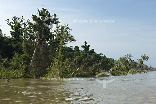  Assunto: Fenômeno da terra caída (erosão de barranco do rio) na margem direita do rio Amazonas  / Local:  Itacoatiara - Amazonas (AM) - Brasil  / Data: 11/2007 