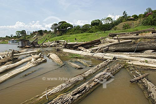  Assunto: Madeira cortada da floresta amazônica na beira do rio Amazonas  / Local:  Itacoatiara - Amazonas (AM) - Brasil  / Data: 11/2007 