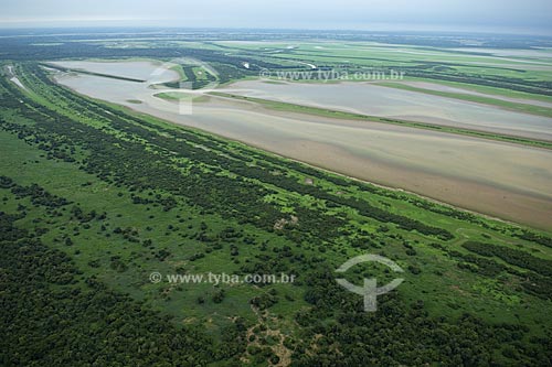  Assunto: Várzea da Ilha do Careiro, no rio Amazonas  / Local:  Entre Manaus e Itacoatiara - Amazonas (AM) - Brasil  / Data: 11/2007 