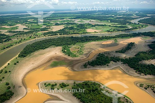  Assunto: Várzea amazônica da margem direita do rio Amazonas, entre Manaus e Itacoatiara  / Local:  Amazonas (AM) - Brasil  / Data: 11/2007 