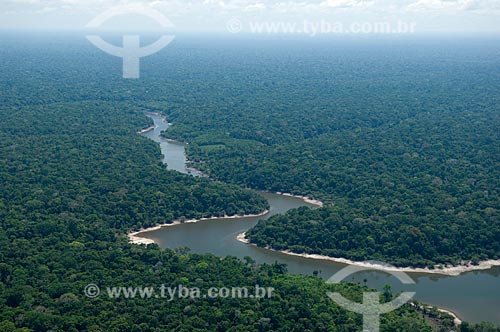  Assunto: Floresta amazônica às margens de lagos de água preta, ao sul de Nova Olinda do Norte  / Local:  Amazonas (AM) - Brasil  / Data: 11/2007 
