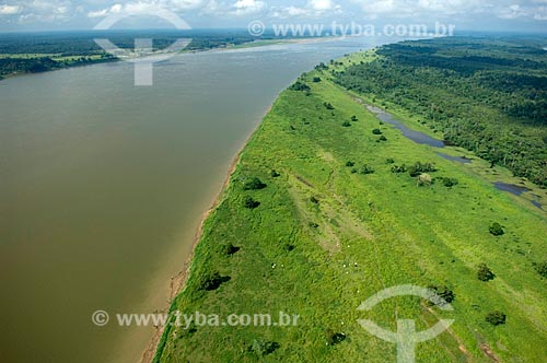  Assunto: Margem direita do rio Madeira, mostrando águas verdes por eutrofização durante a seca - Perto de Nova Olinda do Norte  / Local:  Amazonas (AM) - Brasil  / Data: 11/2007 