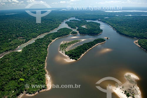  Assunto: Floresta amazônica às margens de lagos de água preta, ao sul de Nova Olinda do Norte  / Local:  Amazonas (AM) - Brasil  / Data: 11/2007 