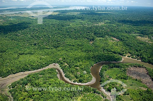  Assunto: Floresta amazônica a leste de Nova Olinda do Norte  / Local:  Amazonas (AM) - Brasil  / Data: 11/2007 