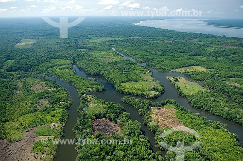  Assunto: Clareira desmatada na Floresta amazônica para fazer roças de agricultura de subsistência ao sul de Nova Olinda do Norte  / Local:  Amazonas (AM) - Brasil  / Data: 11/2007 
