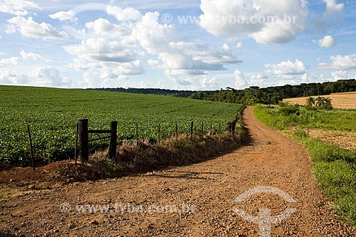  Assunto: Estrada de terra em uma paisagem rural / Local: Guatambu - Santa Catarina - Brasil / Data: 02/2010 