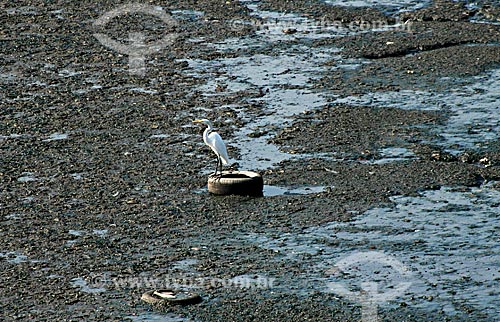  Assunto: Garça no Canal do Cunha na Baía de Guanabara  / Local:  Complexo da Maré - Rio de Janeiro - RJ - Brasil  / Data: 05/2007 