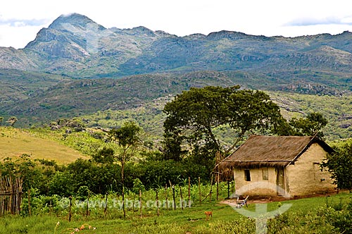  Assunto: Casa de taipa com teto de sapê, moradia típica do Cerrado  / Local:  Capivari - Minas Gerais - MG - Brasil  / Data: 01/2009 