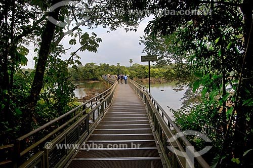  Assunto: Passarela no Parque Nacional Iguaçu - o parque foi declarado Patrimônio Natural da Humanidade pela UNESCO   / Local: Argentina  / Data: 09/06/2009 