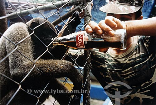  Assunto: Soldado do exército dando Coca-Cola para um macaco no zoológico militar de Manaus /Local: Manaus - Amazonas (AM) - Brasil / Data: 1987 