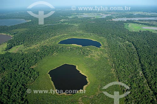  Assunto: Região de lagos, perto do rio Madeirinha  / Local:  Amazonas (AM) - Brasil  / Data: 11/2007 