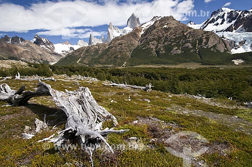  Assunto: Vista do Parque Nacional Los Glaciares  / Local:  El Chalten - Patagônia - Argentina  / Data: 02/2010 