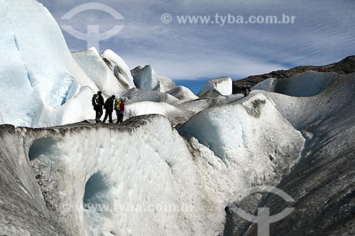  Assunto: Vista do Glaciar Viedma no Parque Nacional Los Glaciares El Chalten - Província de Santa Cruz / Local: El Chalten - Província de Santa Cruz - Argentina - América do Sul / Data: 02/2010 