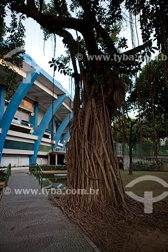  Assunto: Fachada do Estádio Jornalista Mário Filho - Maracanã  / Local:  Rio de Janeiro - RJ - Brazil  / Data: 06/2010 