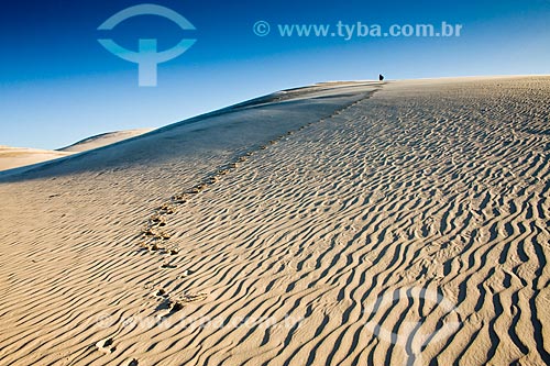  Assunto:  Dunas da Praia da Ribanceira / Local: Imbituba - Santa Catarina (SC) - Brasil / Data: 20/06/2009 
