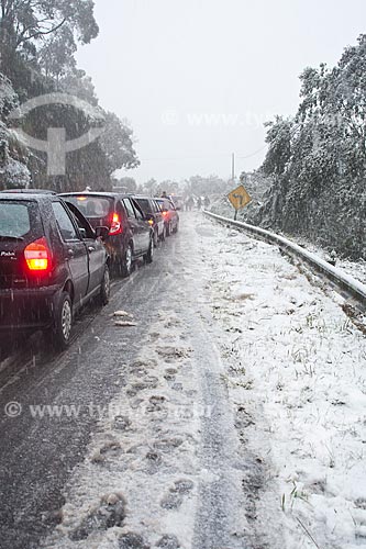  Assunto: Rodovia SC 430 coberta de neve / Local: Urubici - Santa Catarina (SC) - Brasil / Data: 04/08/2010 