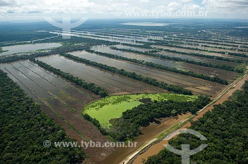  Assunto: Plantação de soja inundada por um afluente do rio Mamoré, durante a grande enchente de verão  / Local:  Planície de Beni -  Departamento de Beni - Bolívia  / Data: 03/2008 