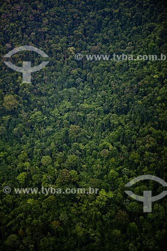  Assunto: Floresta Nacional de Carajás  / Local:  Pará - PA - Brasil  / Data: 2010 