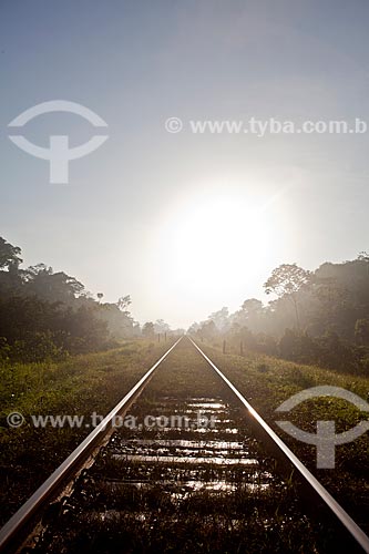  Assunto: Trilho da estrada de ferro Carajás - companhia Vale - na Área de Proteção Ambiental (APA) do Igarapé do Gelado  / Local:  próximo à cidade de Parauapebas - Pará  - Brasil  / Data: 30/10/2010 