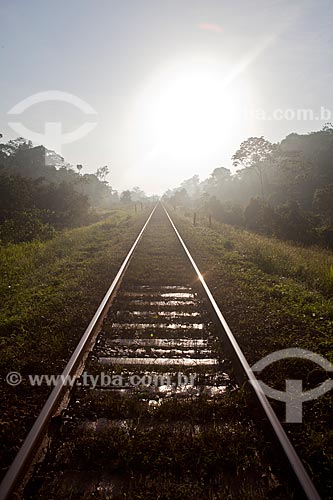  Assunto: Trilho da estrada de ferro Carajás - companhia Vale - na Área de Proteção Ambiental (APA) do Igarapé do Gelado  / Local:  próximo à cidade de Parauapebas - Pará  - Brasil  / Data: 30/10/2010 