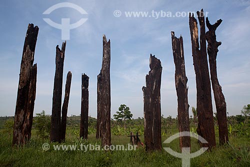  Assunto:  Memorial ao Massacre dos Sem Terra ocorrido em 1996  / Local:   Eldorado dos Carajás - Pará  - Brasil  / Data: 29/10/2010 