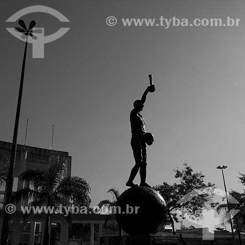  Estátua do Bellini, feita pelo escultor Mateus Fernandes, em frente ao Estádio Jornalista Mário Filho - Maracanã. A estátua homenageia os campeões de 1958 e 1962 e recria o gesto do capitão Bellini de erguer a taça em comemoração ao título  - Rio de Janeiro - Rio de Janeiro - Brasil