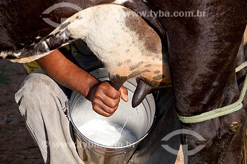  Assunto: Trabalhador rural tirando o leite da vaca na Estação Conhecimento da Área de Proteção Ambiental (APA) do Igarapé do Gelado  / Local:  próximo à cidade de Parauapebas - Pará - Brasil  / Data: 10/2010 